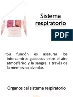 Sistema Respiratorio