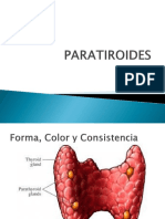 PARATIROIDES