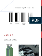 Clase_2_maclas_y_feldespatos.pdf