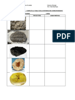 guia fosiles.pdf