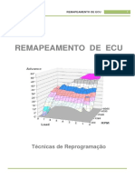 Remapeamento ECM2001.pdf