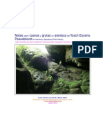 Notas Cuevas Grutas Arenisca Flysch Eoceno. Pseudokarst: Sobre y en Del en Arenisca, Gipuzkoa (País Vasco)