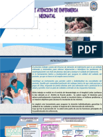 Pae Neonatologia - PPTX Puente