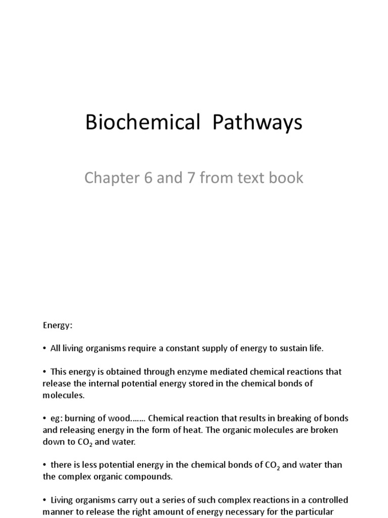 Biochemical Pathways Pdf Cellular Respiration Citric Acid Cycle