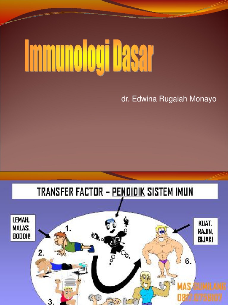 Anatomi Fisiologi Sistem Imun - Copy