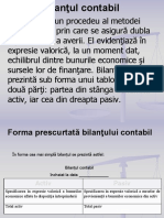 Bilantul_contabil937662028.pdf