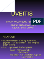 Uveitis.ppt