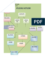 utilizarile_acetilenei.doc