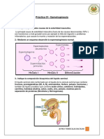 Gametogénesis