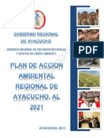 2.Plan de Accion Ambiental Regional de Ayacucho Al 2021