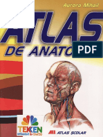 Mic Atlas de Anatomie-Ed All-TEKKEN PDF