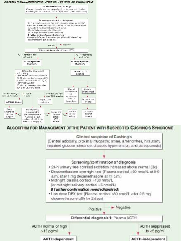 Algoritma Cushing | PDF