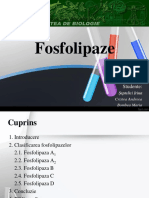 Fosfolipaze