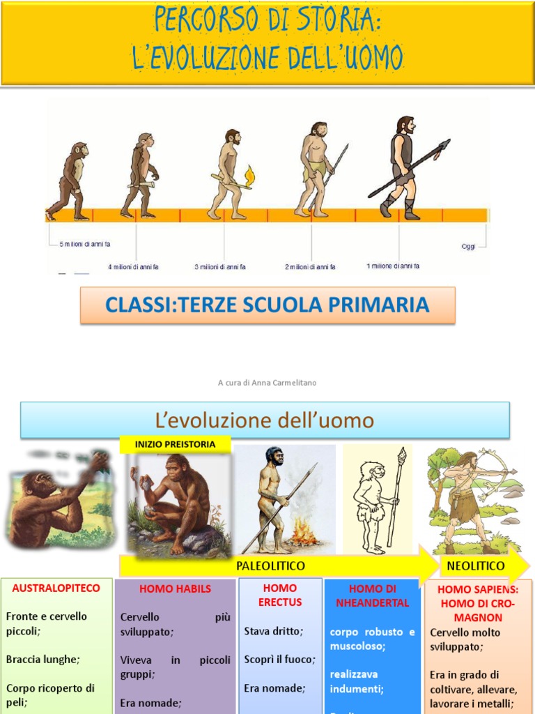 Tutto Cio Che Luomo Ha Imparato Dalla Storia