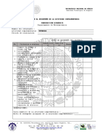 Evaluación Al Desempeño de La Actividad Complementaria