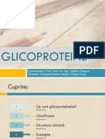 Proiect - Proteine - Grigore&Pripici