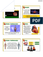 O coração: a bomba do sistema cardiovascular