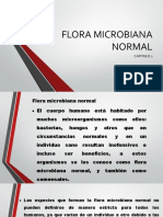 Flora microbiana normal: distribución y funciones