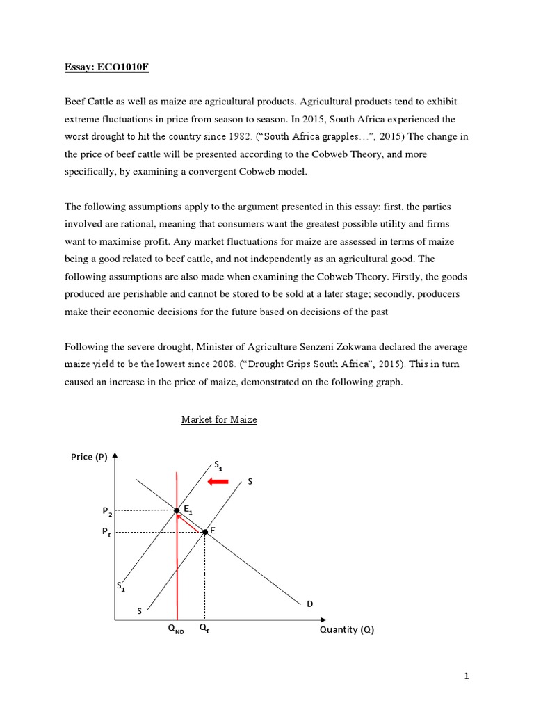 Economics Essay Supply And Demand Price Elasticity Of Demand