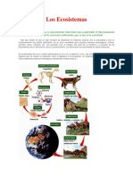 Introducción a los Ecosistemas: La Biocenosis y el Biotopo