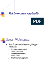 Trichomonas Vaginalis