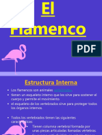 Flamenco