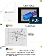 FLUJOS REALES.pdf