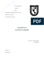 INSTRUMENTOS DE EVALUACION DEL DESEMPEÑO - 5-05-18