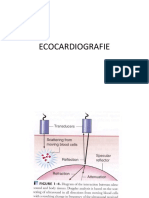 Eco 1 Cardio