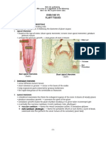 Plant Tissues &amp Organs 02