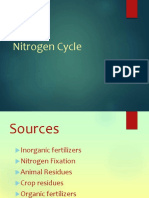 Nitrogen Cycle