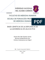 BASES GENETICAS DE LA DEFICIENCIA DE LA ADHERENCIA DE LEUCOCITOS.docx