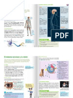 sistema nervioso central y perifericio