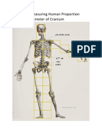 System of Measuring Human Proportion Using The Diameter of Cranium
