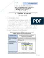 1 - Resumen - Ejecutivo EIA PDF