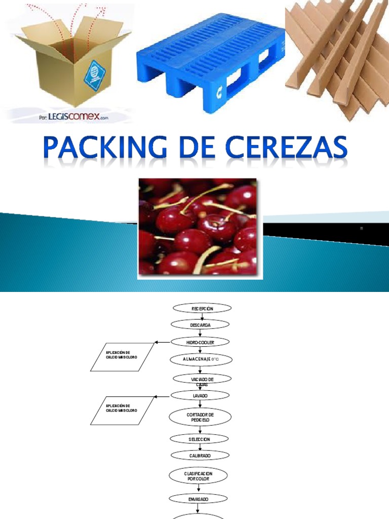 Proceso de Packing y Normativas ISO | PDF | Calor | Agua