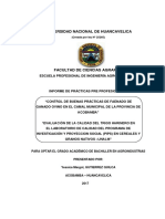 1 Informe Finallllllllllllllllllllllllll