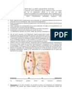 Evolución inflamación aguda