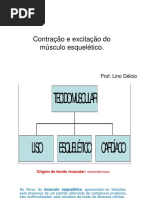 Contração e Excitação Do Músculo Esquelético