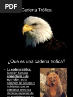 Cadenatrofica.ppt