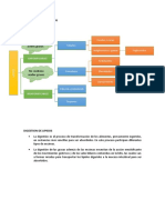 Clasificacion y Digestion de LIPIDOS