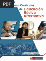 Programa Curricular Inicial Intermedio EBA