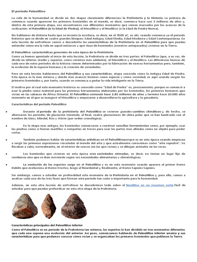 El Periodo Paleolítico. Neolitico y Los Metales | PDF | Edad de Hierro ...