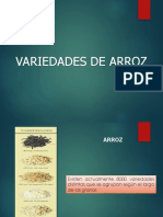 Variedades de Arroz