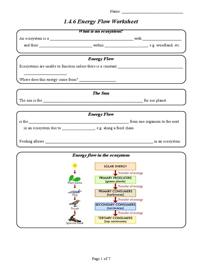 Fitness And Gene Flow Worksheet Answer Key