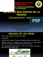 3º Taxonomia 11 de Mayo