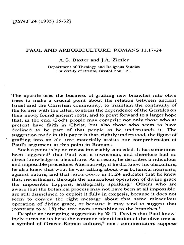 Understanding Ingrafted Branches in Paul | PDF | Epistle To The Romans ...