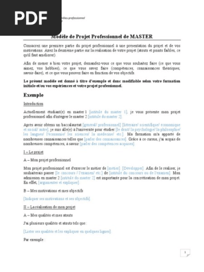 Modele Projet Professionnel Pdf Connaissances Cognition