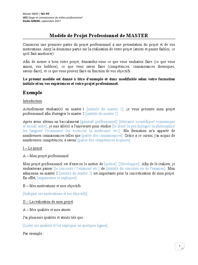 Exemple De Projet Professionnel Personnel Pdf Le