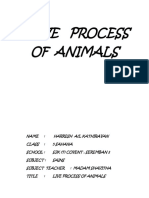 Live Process of Animals